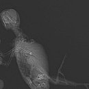 더독 동물병원 이미지