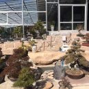 금산분재펜션 이미지