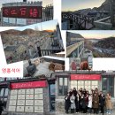 꿈꾸는 자작나무 이미지