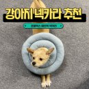 포블럭스 | 넥카라 "강아지 발사탕 방지에 좋은 넥카라" -포블럭스 패브릭 넥카라 / 반려동물 넥카라 / 내돈내산...