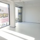 머뭄 애견유치원 이미지