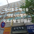 샤인벨리 이미지