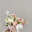 아키꾸뛰르 네이버블로그