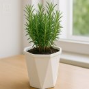 팜팜스토어 이미지