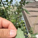 한국농약사 - 광산구 | 한국농약사