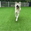 기쁜 유치원 이미지