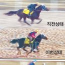 왕깨비
