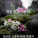 "사당역 근처의 식당에서"＜2024.09.19(목)＞ 이미지