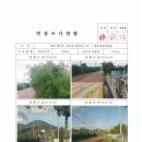 평촌초등학교 앞 이미지