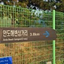 안도웰빙체험장(안도마을) 이미지