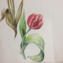 보태니컬 이미지