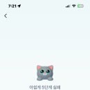 락앤롤 네이버블로그
