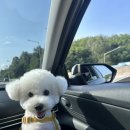 지누동물병원 이미지