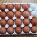 보늬숲밤농장 이미지