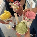 미키노래방 | 3/16-3/22 🇦🇺 저도 취준기로 돌아올 줄 알았어요