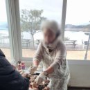 토끼와거북이펜션2 이미지