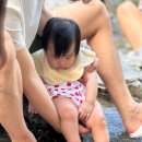 참살이한우
