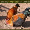 상수리숲농장 이미지