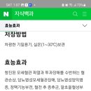 눈 혈관 순환제 처방 나왔는데 드셔보신분 있으신가요 도비안에스정 이미지