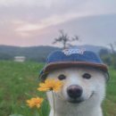 건.갤러리 이미지