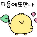 모터피플