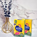 모세 디자인 | [엘더하이 젤리] 감기·모세기관지염 예방에 도움 되는 어린이 면역 영양간식