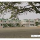 표선초등학교 운동장 이미지