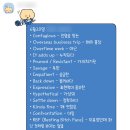 성인영어회화 추천 베랭클 한 달 후기｜홍대영어회화 수업 솔직 리뷰