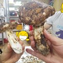 영천생고기식당