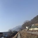 문경 아자개장터 방문기, 약돌돈까스 먹고 온 후기