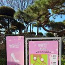 [번개걷기]토요(4.11)1년에 6일만 개방하는 SK석유화학내'벚꽃동산' (구 율도)방문 급히 올립니다 이미지