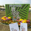 꼬마정원 | 2025 경기정원문화박람회 in 평택 솔직후기