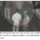 신병4) 양구 군인 폭행사건을 다룬 어제자 에피소드 이미지