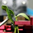 추월농장 이미지