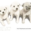 강아지그림