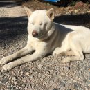 용순농장 이미지