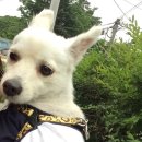 해랑농장 이미지