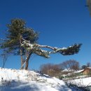 솔안농장 이미지