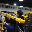 헬스를 배우다! 포비스클럽 이미지