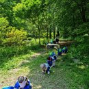 한림성심대학교부속 한림유치원 이미지