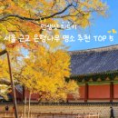 인물 찾아 떠나는 역사여행 | [서울 근교 가을여행] 황금빛 은행나무 명소 BEST 5 🍂 하루 코스로 떠나는 힐링 루트