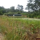 명산양어장 이미지