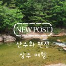 상주원목 | [경북 상주 펜션] 바로 앞 청정 계곡에서 물놀이하기 좋은 '산수화 펜션' 후기