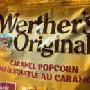 당구매니아 | 2025년 11월 일기 - 내 키보다 더 자라난 그림자를 제자리에 밟고 선다