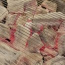 흑도고리 | 제주 제주시 신대로의 흑도고리, 무한리필 흑돼지 고깃집에 가보세요! 🥓