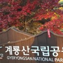 이삼장군 재실 Daum카페