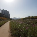 대원꿈에그린공인중개사사무소 이미지