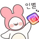 네일위드502 이미지