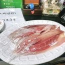 남양주 락 실내바다 낚시터 이미지