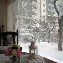 겨울아침창가에서 이미지